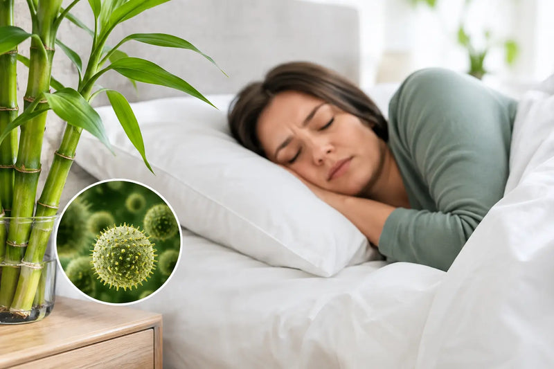 Bamboo Allergy Concerns for Sensitive Sleepers