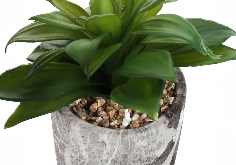 Artificial Plant, 6' Tall, Succulent, Indoor, Faux, Fake, Table, Greenery, Potted, Set Of 2, Decorative, Green Leaves, Grey Cement Pots