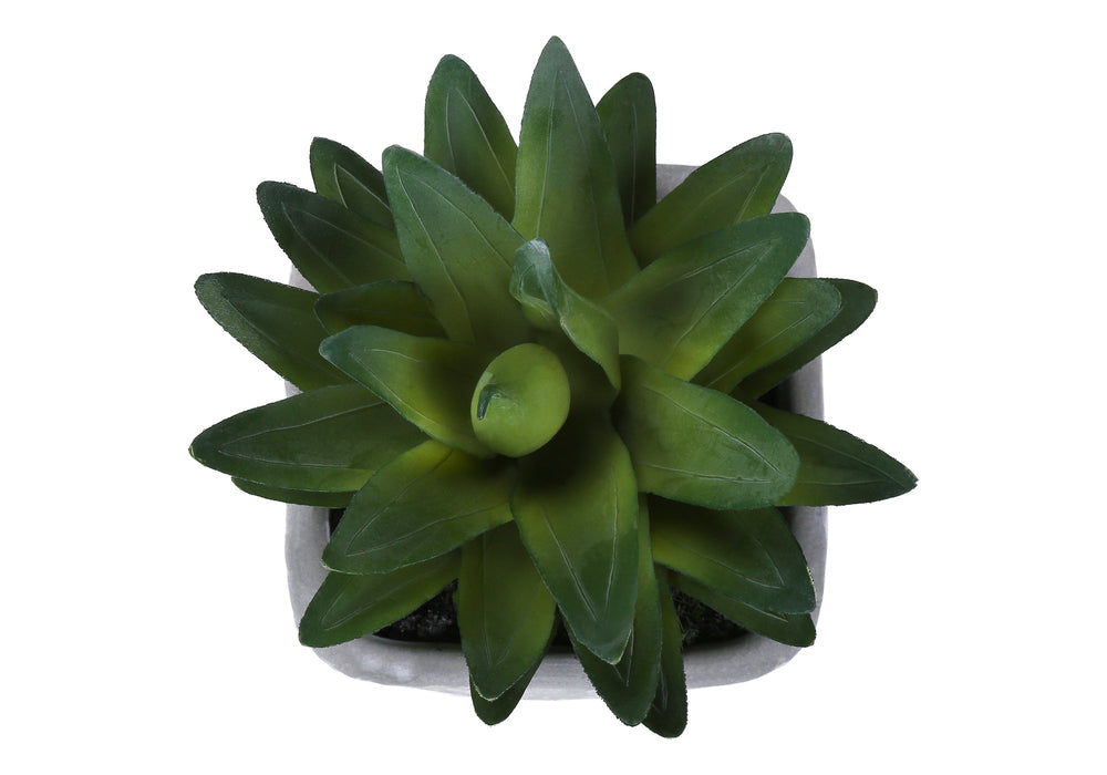 Artificial Plant, Set Of 2, 8' Tall, Succulent, Table, Grey Cement Pots, Contemporary, Modern Media 3