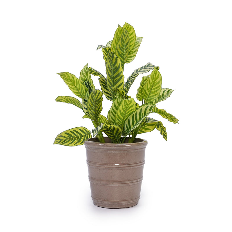 3 Pieces Ceramic Flowerpot, Modern Planter for Patio, Garden or Windowsills - Antique Yellow