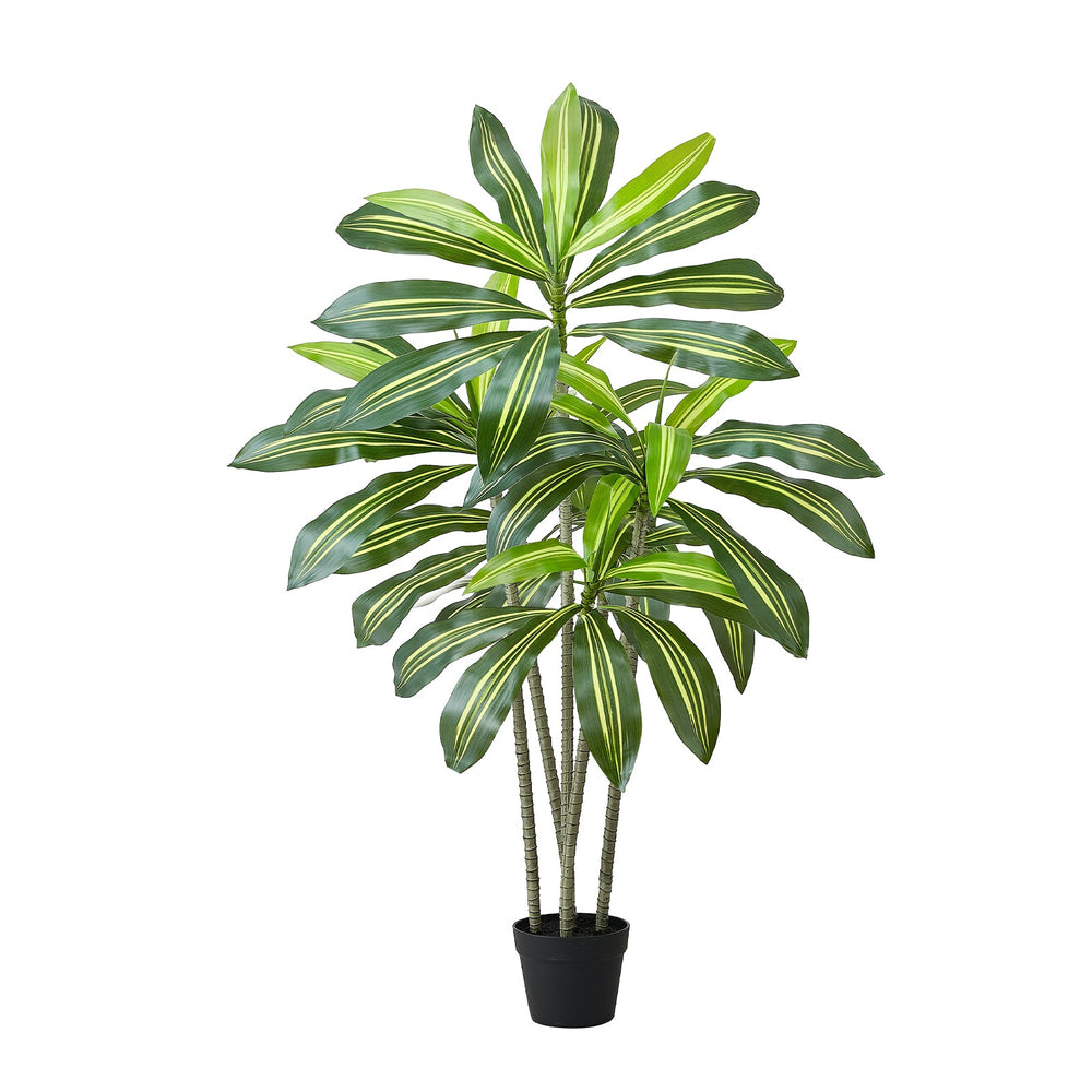 Artificial Dracaena Tree 5 ft, Fake Palm Tropical Plants with White Tall Planter, Faux Floor Silk Plant in Pot, Large Trees for Home Office Living Room Decor House Warming, Indoor Outdoor Media 5