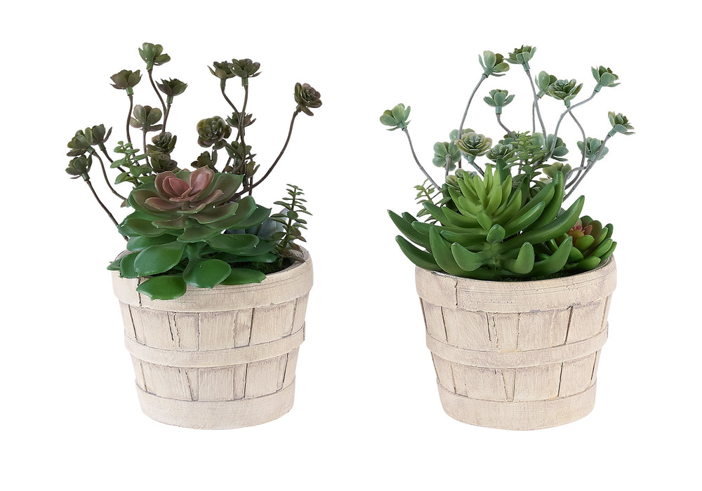 Artificial Plant, Set Of 2, 9' Tall, Succulent, Table, Beige Cement Pots, Contemporary, Modern Media 2