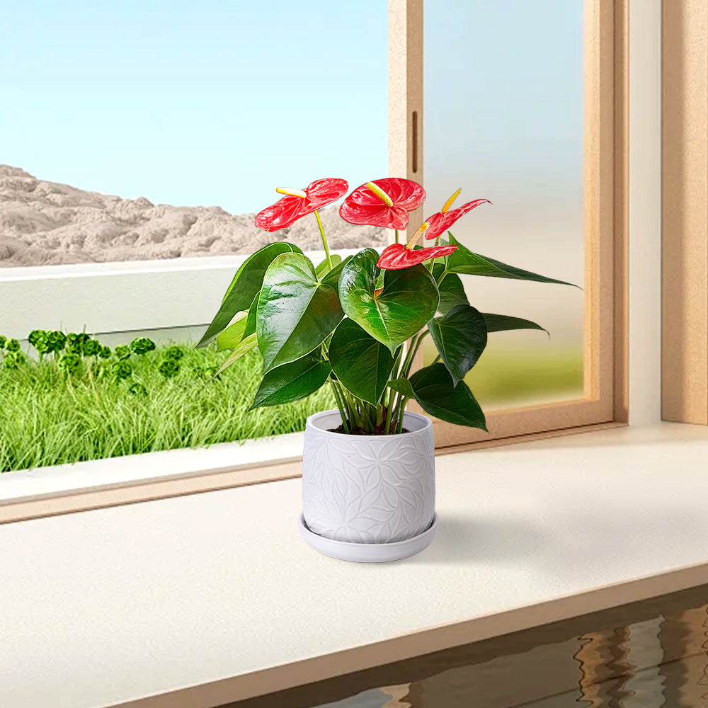 Handmade White Glossy Ceramic Planter Set of 2, 6' & 8' Diameter, Leaf Pattern Design, for Succulents and Herbs Indoor/Outdoor Shelf & Table Use, Breathable Clay with Saucers Media 7