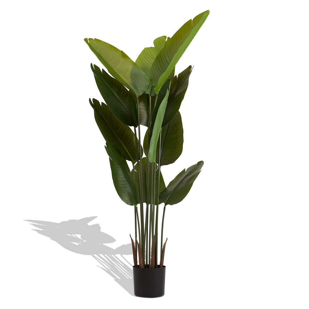 Artificial Bird of Paradise Plant 160cm Tall Faux Tropical Palm Tree Green Plastic Indoor Outdoor Decoration Media 4