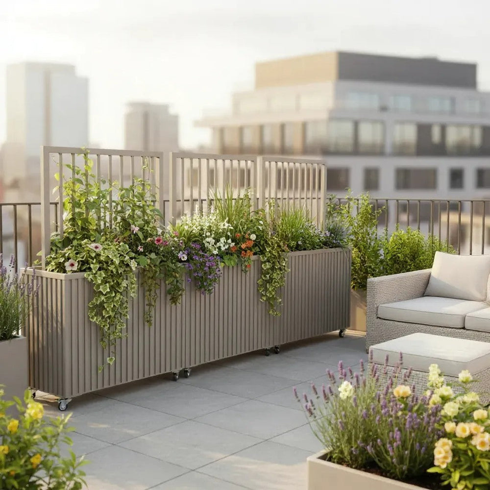 Grove Divider Planter- Grey Brown Media 3