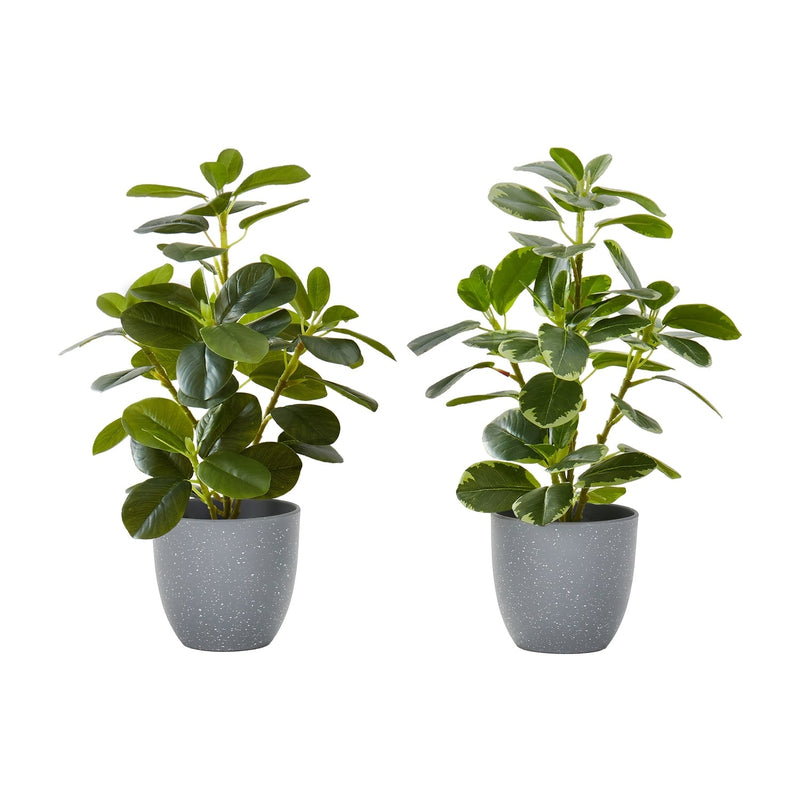Artificial Ficus Elastica Plant Set of 2, 14 Inch Tall Indoor Decorative Greenery with Grey Cement-Look Pots, Plastic Faux Green Leaves