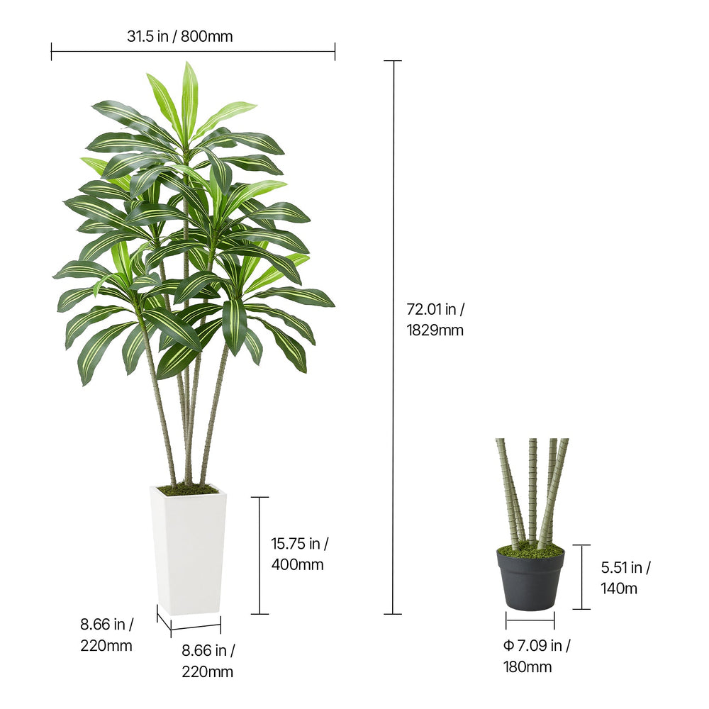 6ft Artificial Dracaena Tree Fake Plant with White Planter Indoor Media 8