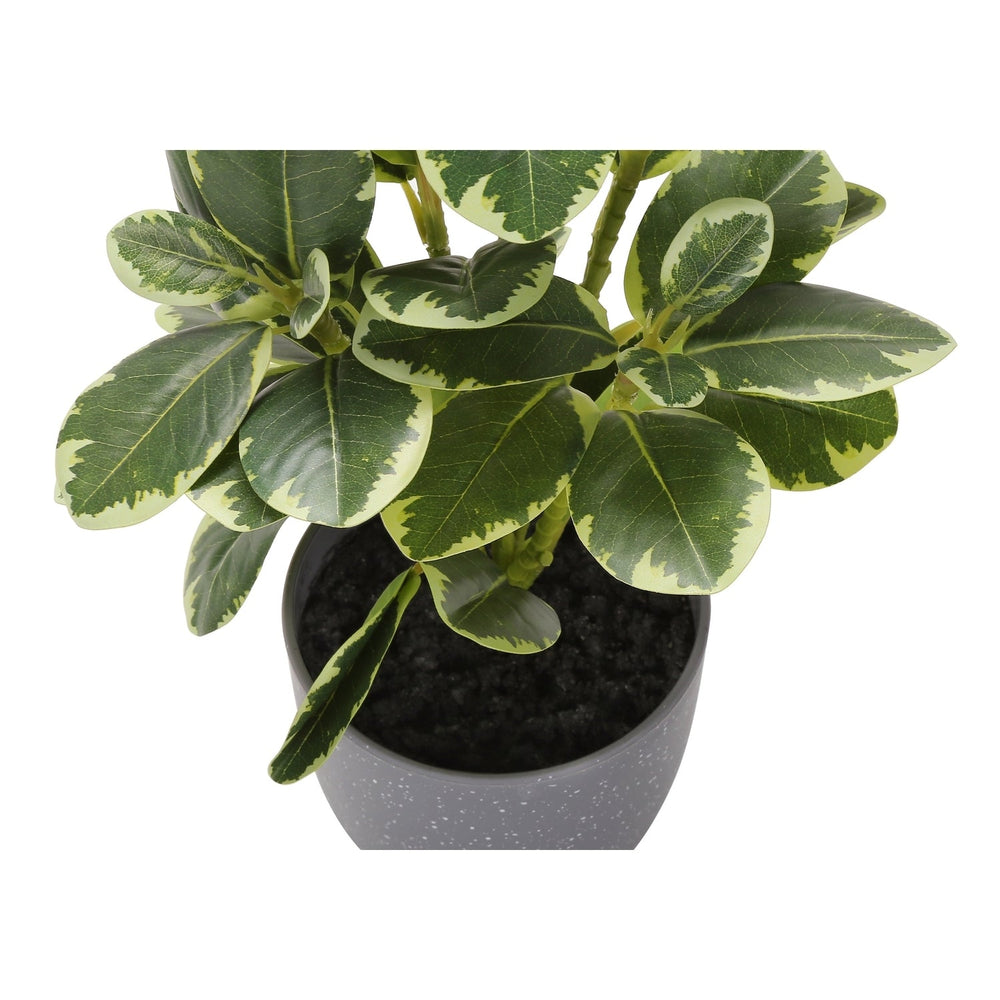 Artificial Ficus Elastica Plant Set of 2, 14 Inch Tall Indoor Decorative Greenery with Grey Cement-Look Pots, Plastic Faux Green Leaves Media 5