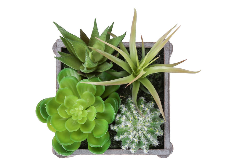 Artificial Plant, Set Of 2, 8' Tall, Succulent, Table, Grey Wooden Pots, Contemporary, Modern