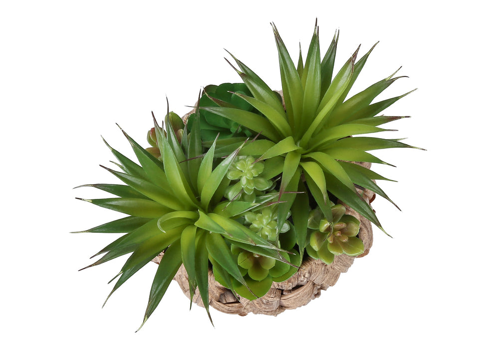 Artificial Plant, Set Of 2, 9' Tall, Succulent, Table, Brown Woven Basket, Contemporary, Modern Media 3