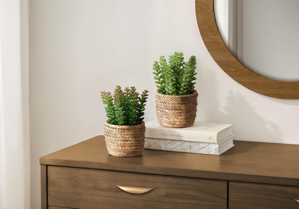 Artificial Plant, Set Of 2, 7' Tall, Succulent, Table, Brown Cement Pots, Contemporary, Modern Media 1