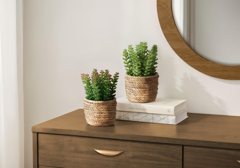 Artificial Plant, Set Of 2, 7' Tall, Succulent, Table, Brown Cement Pots, Contemporary, Modern