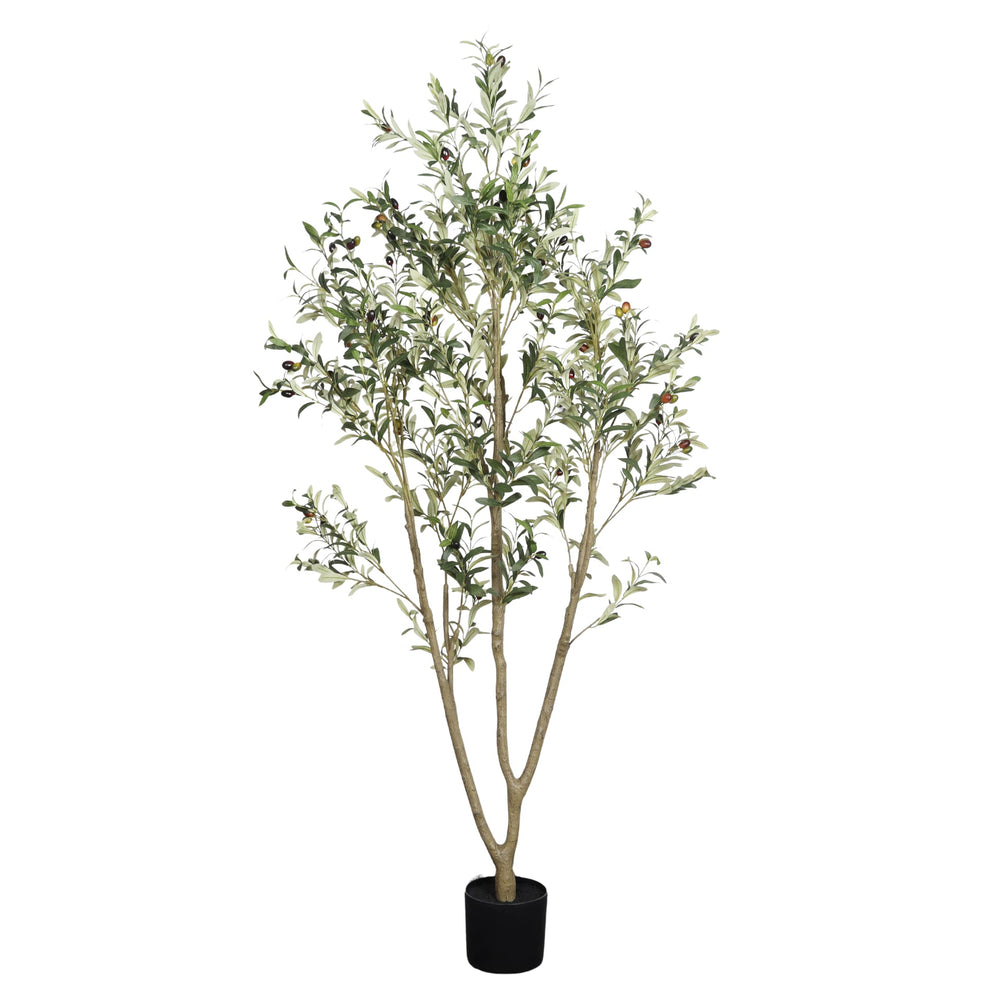 6' Artificial  Olive Tree in Plastic Black Pot, 1pc/set Media 3