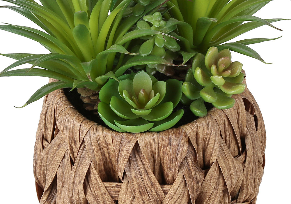 Artificial Plant, Set Of 2, 9' Tall, Succulent, Table, Brown Woven Basket, Contemporary, Modern Media 5