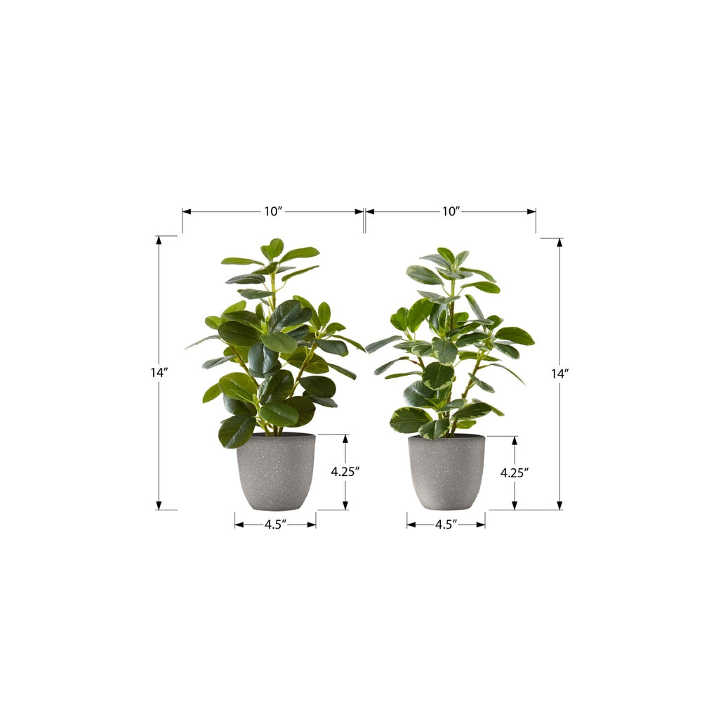Artificial Ficus Elastica Plant Set of 2, 14 Inch Tall Indoor Decorative Greenery with Grey Cement-Look Pots, Plastic Faux Green Leaves Media 3