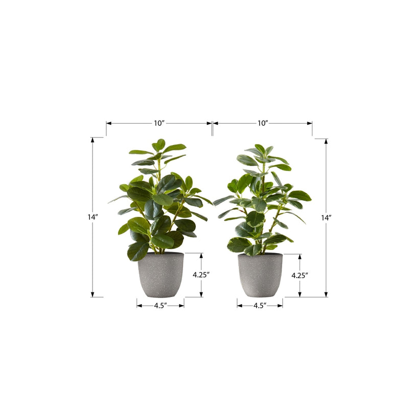 Artificial Ficus Elastica Plant Set of 2, 14 Inch Tall Indoor Decorative Greenery with Grey Cement-Look Pots, Plastic Faux Green Leaves