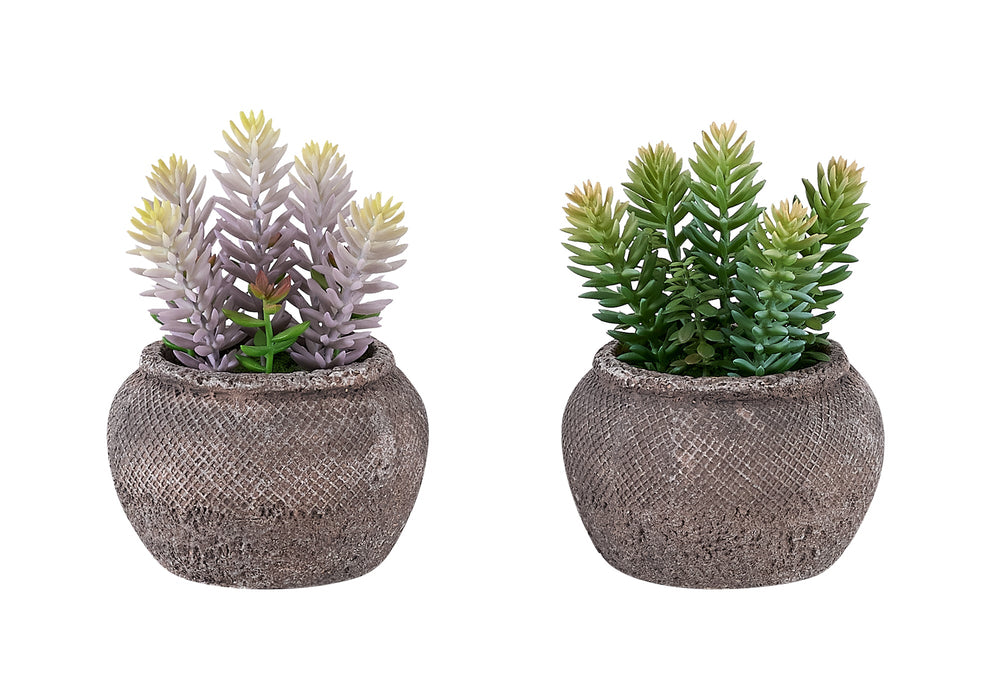 Artificial Plant, Set Of 2, 8' Tall, Succulent, Table, Brown Cement Pots, Contemporary, Modern Media 2