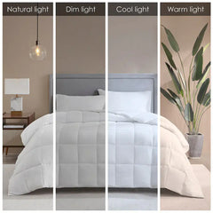 Cotton Down Alternative Featherless Comforter perspective