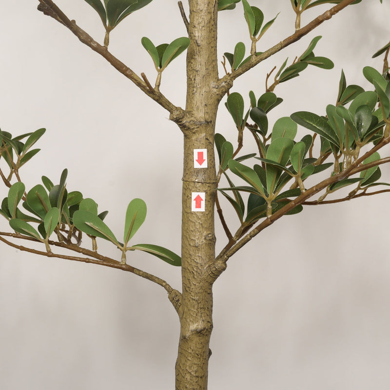 7FT Artificial Black Olive Tree with Black Plastic Pot, Realistic Tall Fake Plant for Indoor Home Living Room Corner Decoration, 1pc/set