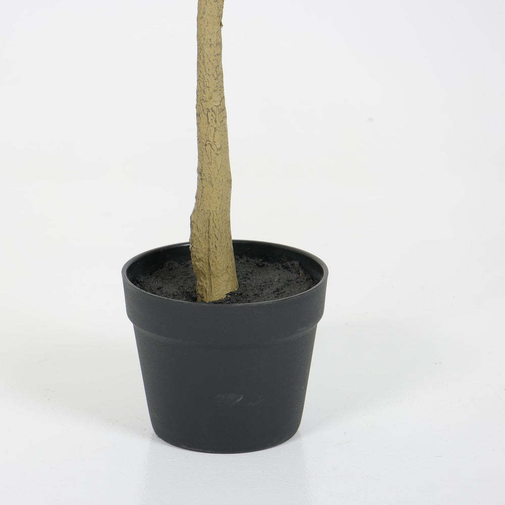 6ft Artificial Olive Tree, Realistic Faux Potted Plant in Black Pot, Indoor & Covered Outdoor Decorative Tree for Living Room and Office, 1pc/set Media 12