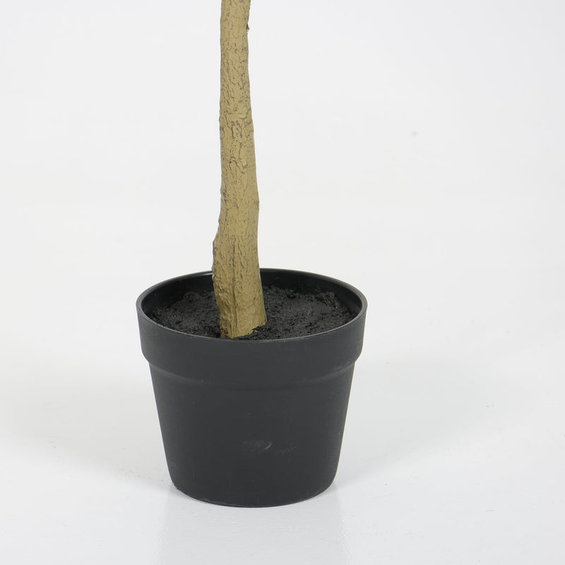 6ft Artificial Olive Tree, Realistic Faux Potted Plant in Black Pot, Indoor & Covered Outdoor Decorative Tree for Living Room and Office, 1pc/set