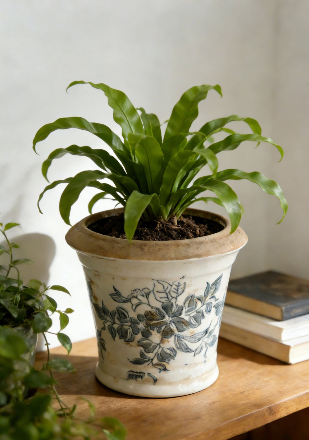 5.3x5.3x5.1' Ceramic Planter with Floral Pattern, Set of 4 Media 2