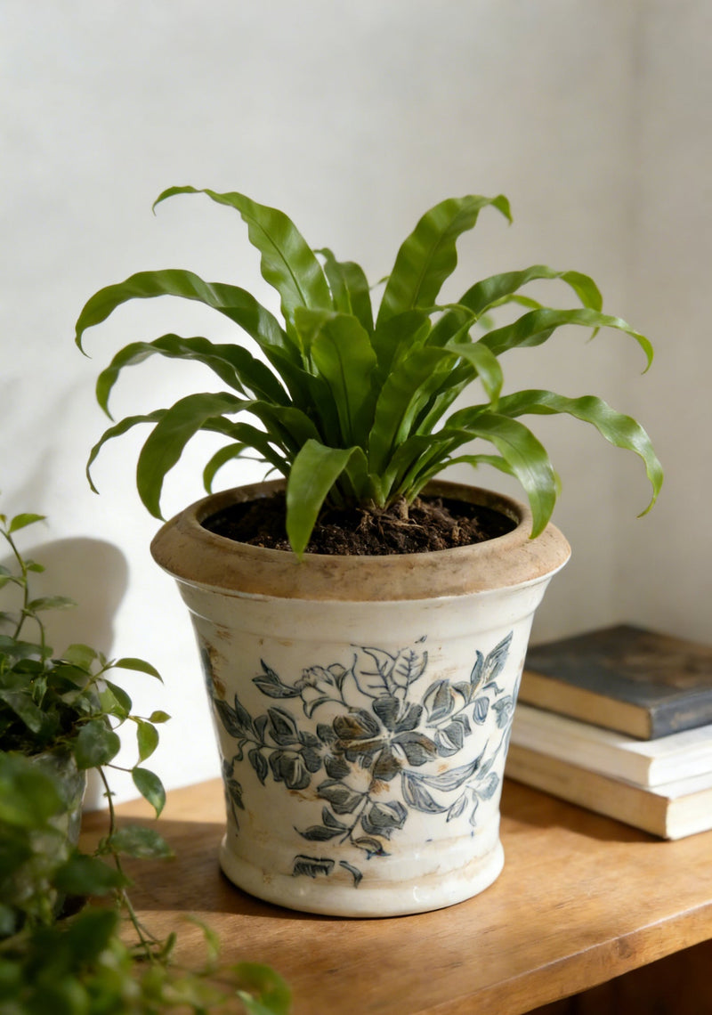 5.3x5.3x5.1' Ceramic Planter with Floral Pattern, Set of 4