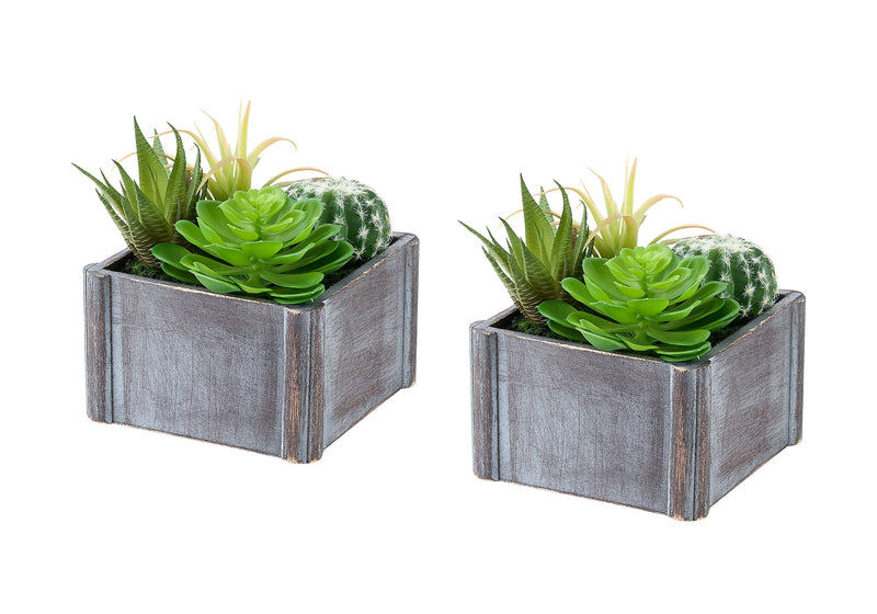 Artificial Plant, Set Of 2, 8' Tall, Succulent, Table, Grey Wooden Pots, Contemporary, Modern