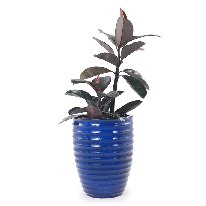 Handmade Sapphire Blue Ceramic Planter, 17 Inch Diameter, 1 Piece, Horizontal Ripples Pattern, for Monstera and Fiddle Leaf Fig, Indoor & Outdoor Doorway Use, Breathable Clay