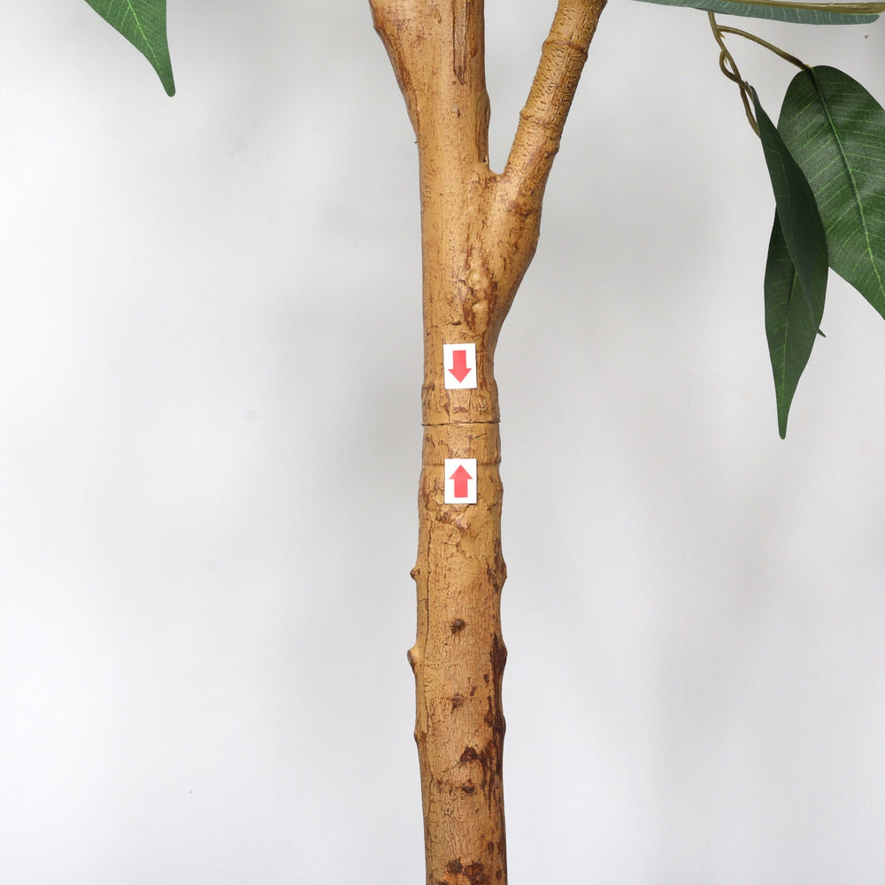 6FT Artificial Ficus Tree with Natural Trunk in Black Plastic Pot for Indoor Home Office Decor, 1pc/set Media 7