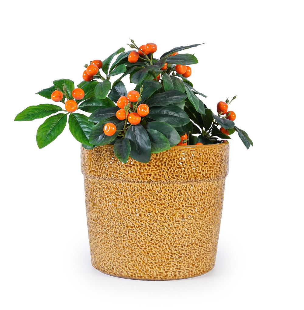 Handmade Ceramic Planter Set of 3, 15/12/9 Inch Diameter, Earth-Tone Speckled Glaze, for Orchids & Indoor Plants, Windowsill & Bookshelf Use, Breathable Clay Media 8