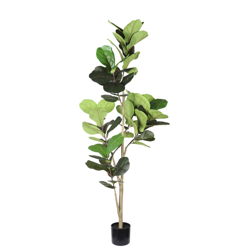 6FT Real Touch Fake Fiddle Leaf Fig Tree in Black Plastic Pot with Green Fabric Leaves, Indoor Decor for Home Office Living Room Corner