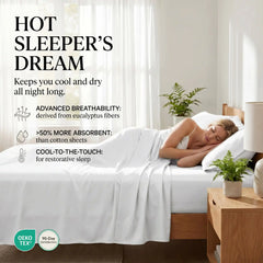 TENCEL Lyocell Sheet Set 4-Piece Moisture-Wicking All-Season Sleep perspective