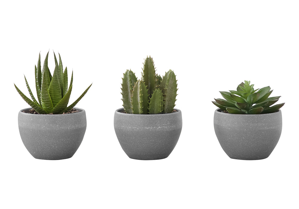 Artificial Plant, 6' Tall, Succulent, Indoor, Faux, Fake, Table, Greenery, Potted, Set Of 3, Decorative, Green Plants, Grey Cement Pots Media 2