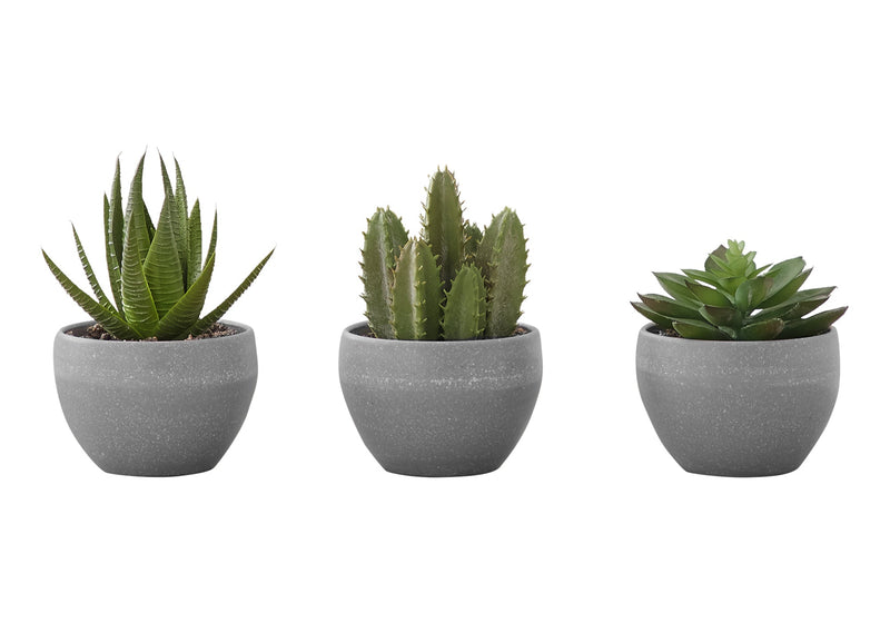 Artificial Plant, 6' Tall, Succulent, Indoor, Faux, Fake, Table, Greenery, Potted, Set Of 3, Decorative, Green Plants, Grey Cement Pots