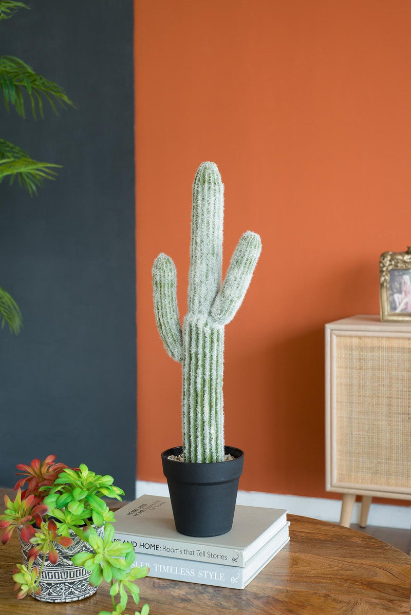 8x5x24.5'H Artificial Saguaro Cactus in Black Pot