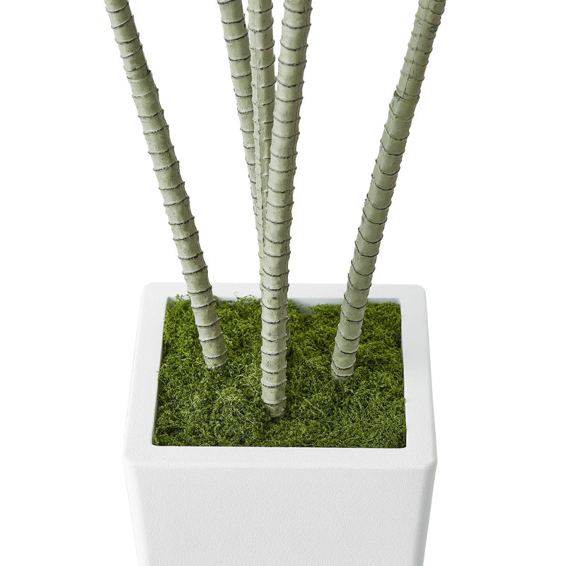 Artificial Dracaena Tree 5 ft, Fake Palm Tropical Plants with White Tall Planter, Faux Floor Silk Plant in Pot, Large Trees for Home Office Living Room Decor House Warming, Indoor Outdoor