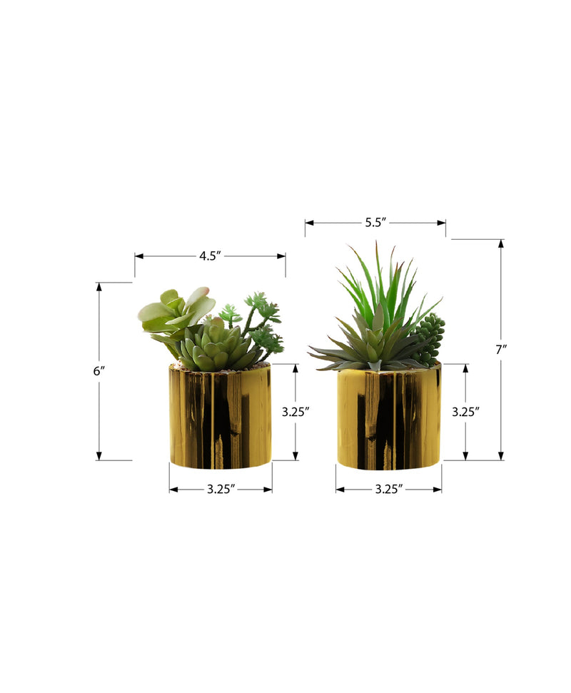 Artificial Plant, 7' Tall, Succulent, Indoor, Faux, Fake, Table, Greenery, Potted, Set Of 2, Decorative, Green Plants, Glossy Gold Pots