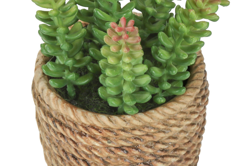 Artificial Plant, Set Of 2, 7' Tall, Succulent, Table, Brown Cement Pots, Contemporary, Modern