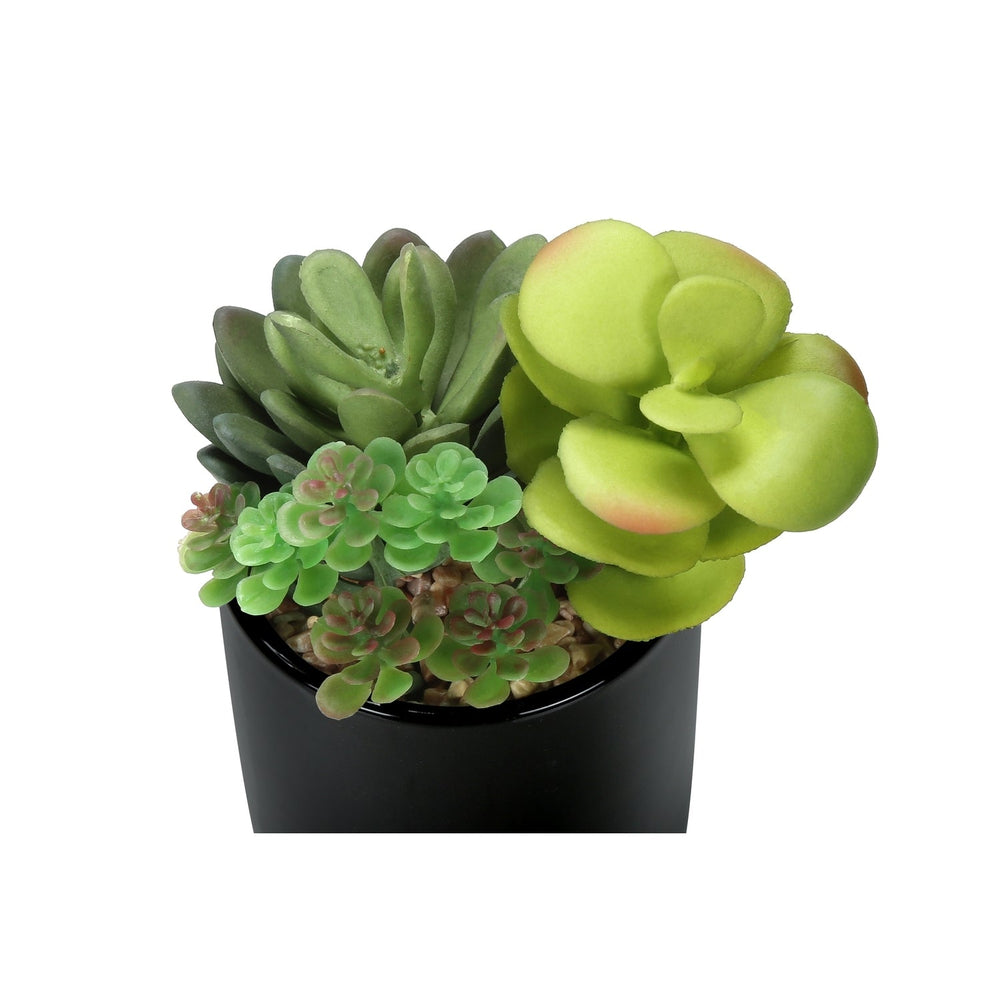 Artificial Succulent Plants Set of 2, Green Faux Indoor Potted Decor in Glossy Black Pots, Realistic Greenery for Table or Shelf Media 4