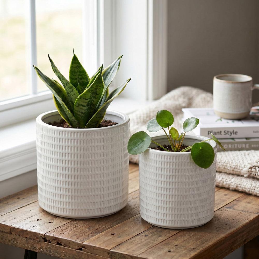 S/2 Textured White Ceramic Planters Media 1