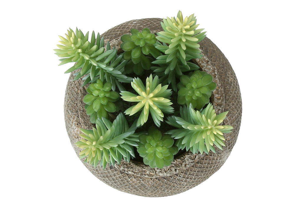 Artificial Plant, Set Of 2, 8' Tall, Succulent, Table, Brown Cement Pots, Contemporary, Modern Media 3