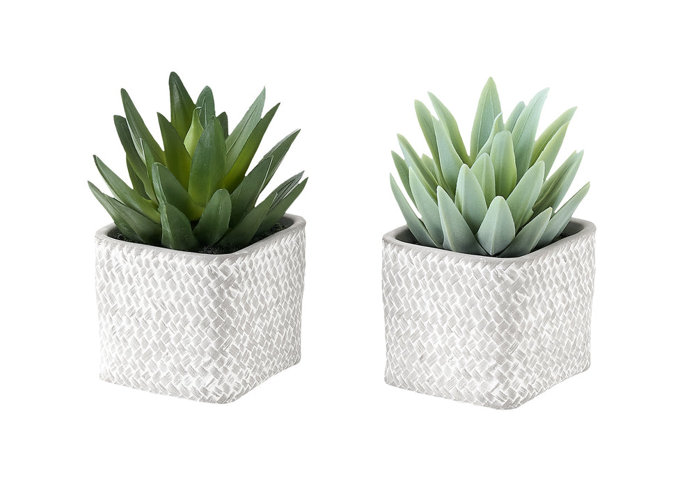 Artificial Plant, Set Of 2, 8' Tall, Succulent, Table, Grey Cement Pots, Contemporary, Modern Media 2