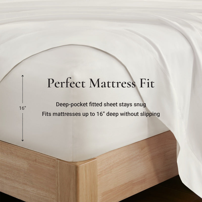 Cotton Sheet Set