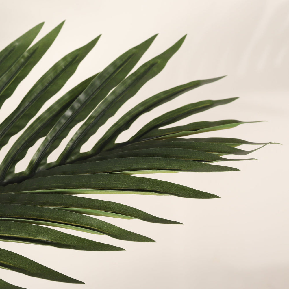 6FT Artificial Palm Tree with Black Plastic Pot, Tropical Fake Plant for Indoor Outdoor Decoration, Faux Palm, 1pc/set Media 8