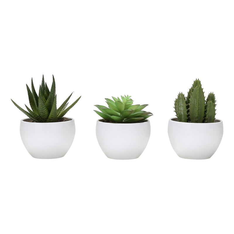 Artificial Succulent Plants Set of 3, 6' Tall, Green Faux Indoor Decor in White Pots, Plastic, Tabletop Greenery