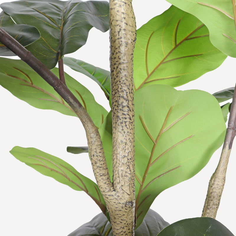 7' Artificial Fiddle Leaf Fig Tree in Black Plastic Pot