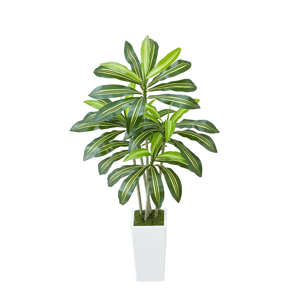 Artificial Dracaena Tree 5 ft, Fake Palm Tropical Plants with White Tall Planter, Faux Floor Silk Plant in Pot, Large Trees for Home Office Living Room Decor House Warming, Indoor Outdoor Media 1