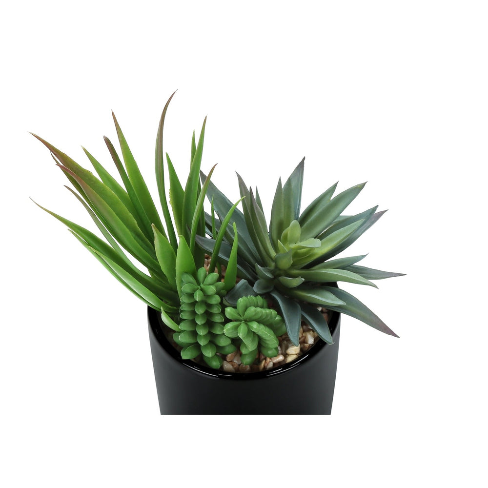 Artificial Succulent Plants Set of 2, Green Faux Indoor Potted Decor in Glossy Black Pots, Realistic Greenery for Table or Shelf Media 5