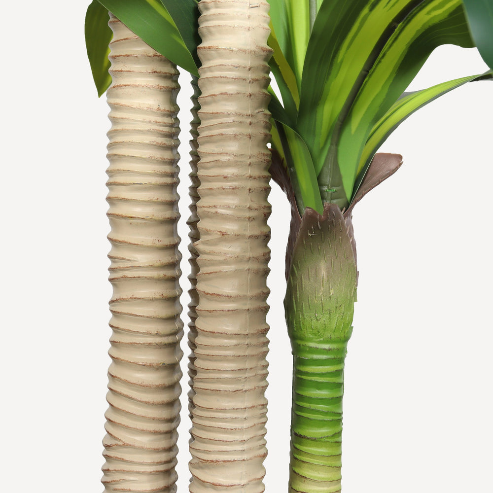 6' Artificial Dracaena Tree with Black Plastic Pot Media 7